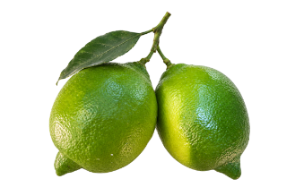 Italian Interdonato Lemon