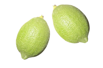 Italian Eureka Allen Lemon