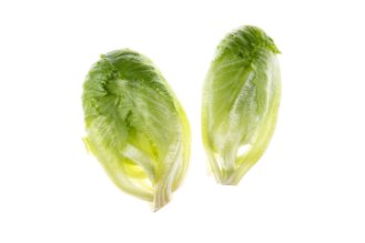 Gambit Lettuce