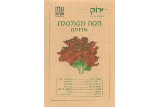 Red Curly Lettuce Seeds