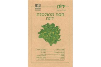 Green Curly Lettuce Seeds