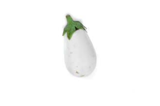 White eggplant