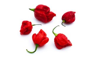 Trinidad scorpion peppers