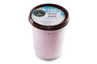 Blueberry yogurt made from cow's milk