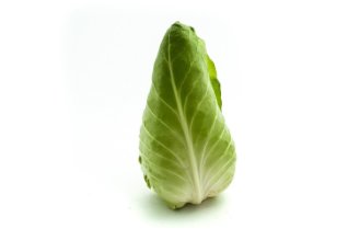 Pyramid cabbage