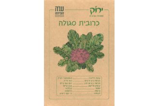 Purple Cauliflower Seeds