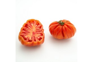 Beefsteak tomato