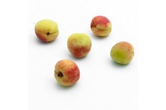 Mistakawi apricot