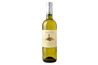 Latour white wine 2023 "yellow" - Netofa