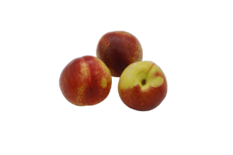 White nectarine