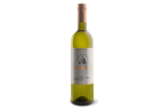 Sauvignon blanc - Tabor