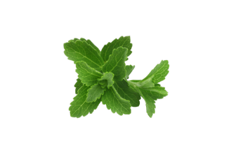 Stevia
