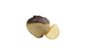 Rutabaga root