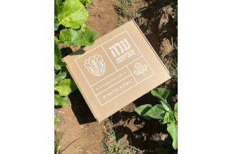 Yfota kit