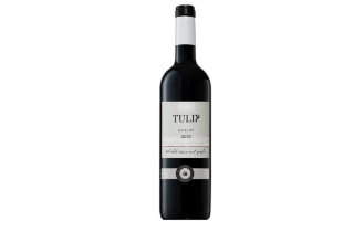 Merlot - Tulip