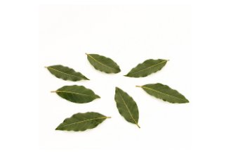 Fresh bay leaves