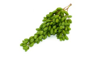 Unripe grapes