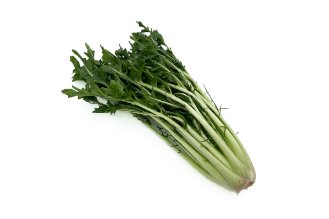 Puntarelle