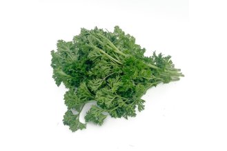 Curly parsley