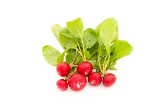 Micro radish