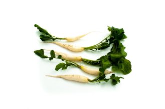 White long radish