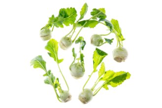 Baby Kohlrabi