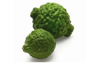 Kaffir lime 
