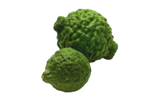Kaffir lime 