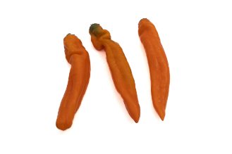 Orange Shushka pepper 