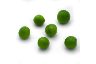 Green unripe plums