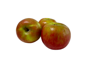 Sundowner apple