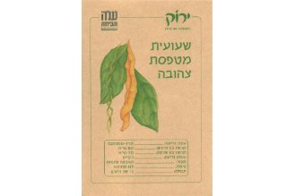 Yellow Climbing Bean Seeds