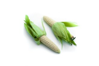 White corn