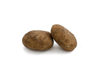 תפוח אדמה ענק