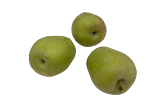 Anna apple